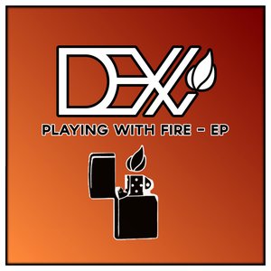 Image pour 'Playing With Fire'