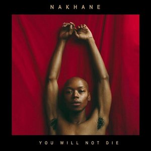 Image for 'You Will Not Die'