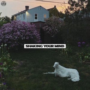 Image for 'Shaking Your Mind'