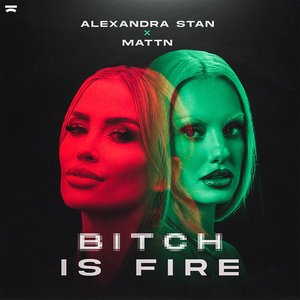 Image pour 'Bitch Is Fire - Single'