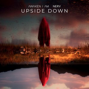 Image for 'Upside Down'