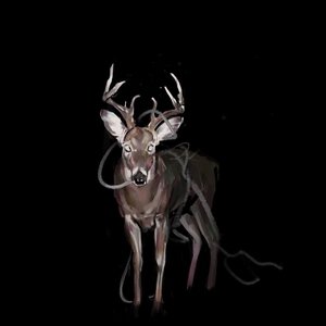 Image for 'Bambi'