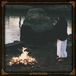 Image for 'a pain bloomed from my lungs'
