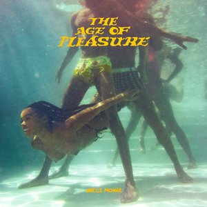 “The Age of Pleasure”的封面
