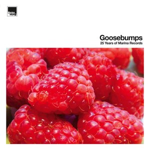 “Goosebumps – 25 Years of Marina Records”的封面