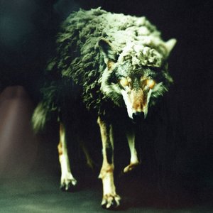 Image for 'Wolf In Sheep's Clothing [REBORN]'
