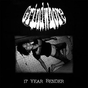 “17 Year Bender”的封面