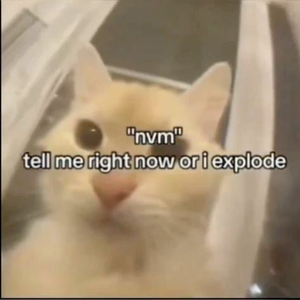PeterGayGay