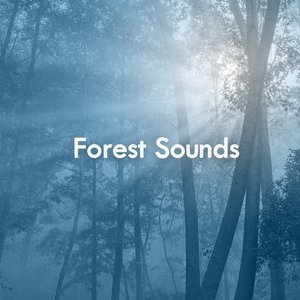 'Forest Sounds' için resim