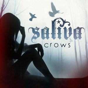 Image for 'Crows'