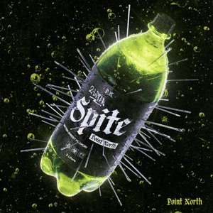“2 LITER SPITE”的封面