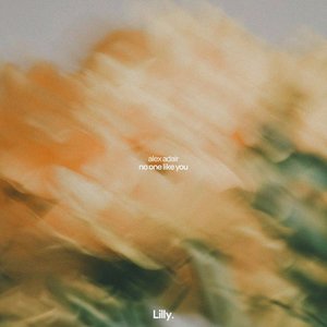 Image for 'No One Like You'