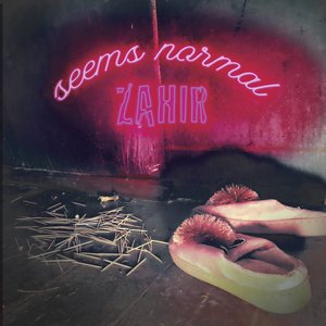 'Seems Normal'の画像