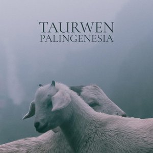 Imagem de 'Palingenesia'