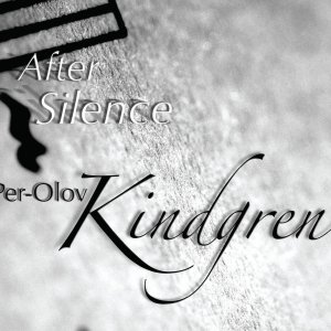 Immagine per 'After Silence'