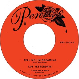 Image for 'Tell Me I'm Dreaming'