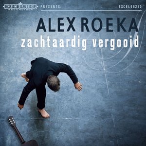 Image for 'Zachtaardig Vergooid'