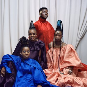 Immagine per 'Les Amazones d'Afrique'