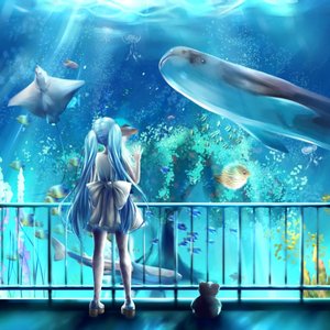 “Eve”的封面