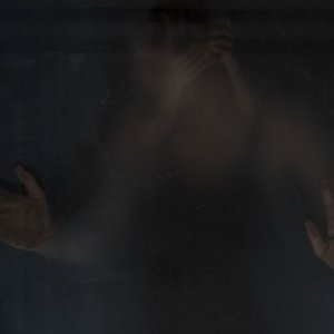 Image pour 'The Wasp Factory'