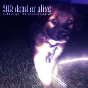 Image for '500 dead or alive'