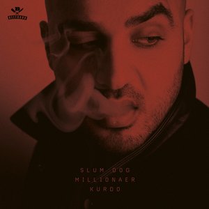 “Slum Dog Millionaer (Deluxe Edition)”的封面