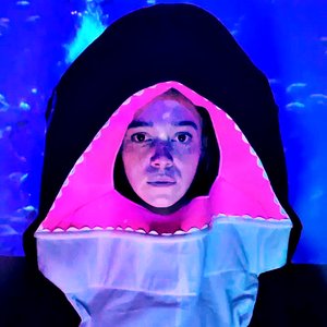 “girlhouse”的封面