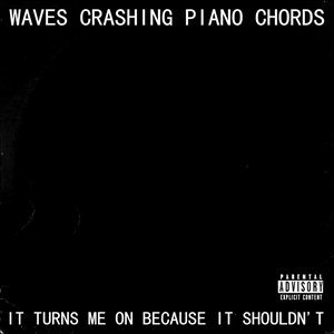 Image for 'It Turns Me On Because It Shouldn't'