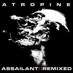 Image for 'Assailant::Remixed'