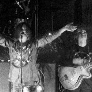 Image for 'Primitives Group'