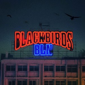 Изображение для 'Blackbirds BLN'