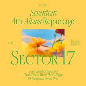 'Seventeen 4th Album Repackage 'SECTOR 17'' için resim