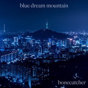 Image for 'blue dream mountain'