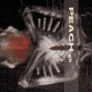 Image for 'Giving Birth to a Stone'