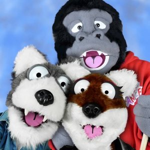 Image for 'The New Fangles'