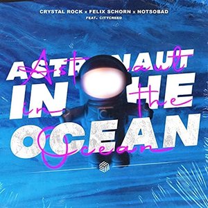 Image pour 'Astronaut In The Ocean'