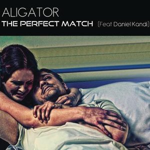 Image for 'The Perfect Match (Remixes)'