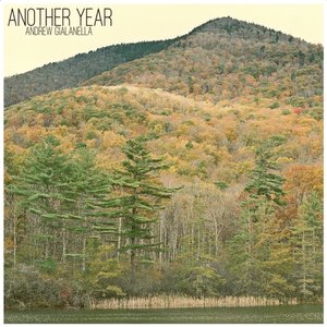 Immagine per 'Another Year'