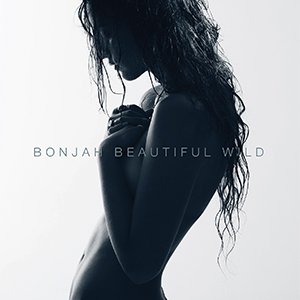Image for 'Beautiful Wild'