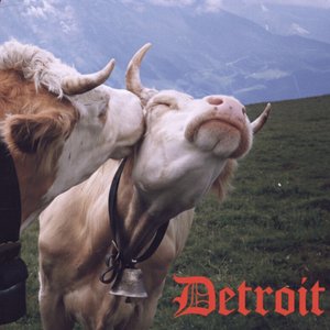 Image for 'Detroit'