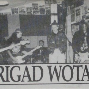 “Brigad Wotan”的封面