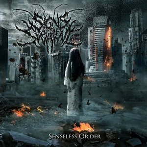 Immagine per 'Senseless Order'