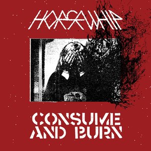 Image for 'Consume and Burn'