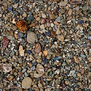 Image for 'if you can hear me'