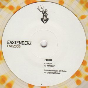 Image for 'Endz005'