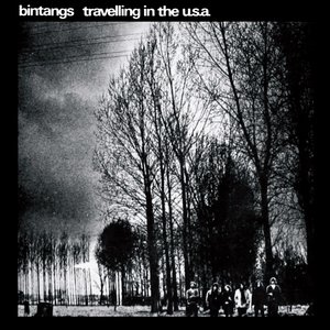 Image for 'Travelling In The U.S.A.'