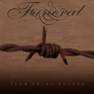 Image for 'From These Wounds'