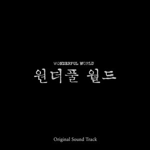 “Wonderful World (Original Television Soundtrack) SPECIAL”的封面