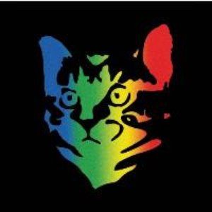 Zdjęcia dla 'Whoopie Cat'