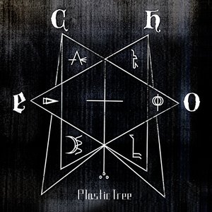 “Echo”的封面